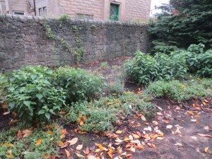 A much tidier east border