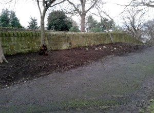Herbaceous planting at the west wall
