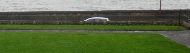Geraniums in at the north wall