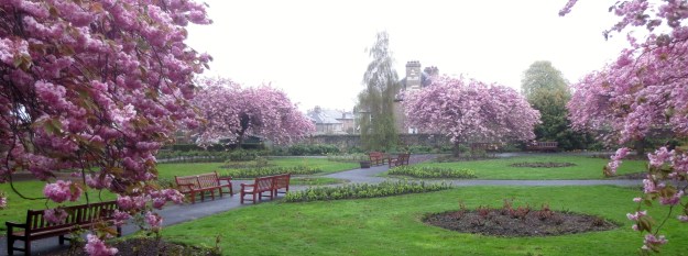 The herb borders from the west