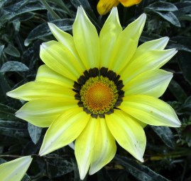 IMG_3837 (1280x1221)