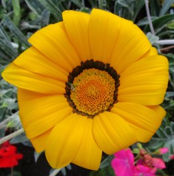 IMG_3838 (1256x1280)