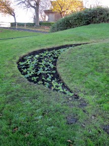 IMG_4369 (960x1280) (2)